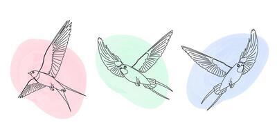 An assortment of airborne swallows. Spring bird collection exhibits a linear design style enhanced by watercolor spots vector