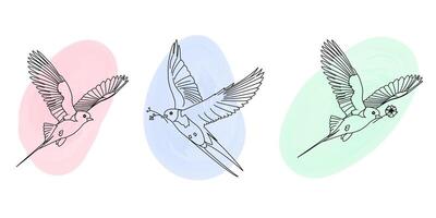 Flying swallows collection. Spring-inspired design presents birds in linear aesthetic complemented by watercolor patches vector
