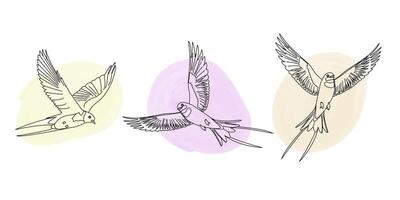 Collection of soaring swallows. Spring-themed design features birds in a linear style, adorned with watercolor splashes vector