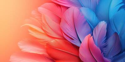 Colorful feathers create a vibrant and artistic background, showcasing shades of red, pink, and blue in a captivating display photo