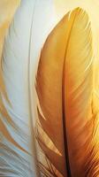 White and gold feathers beautifully arranged in soft light showcase nature's elegance and grace photo