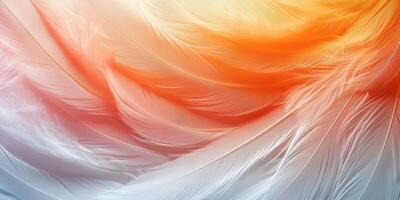 Delicate feathers in soft orange and white hues create an ethereal texture photo