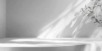 Bright and minimalistic interior space featuring soft shadows and a plant photo