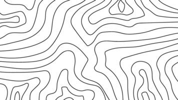 abstract wavy background. topographic contour background. contour lines background. Topographic map contour background vector