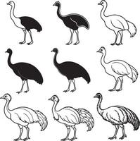 Cassowary birds coloring page icon set vector