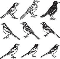 Nightingale line art set icon image vector