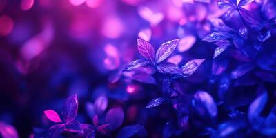 Vibrant foliage illuminated by purple and blue light in a serene botanical setting during the evening hours photo