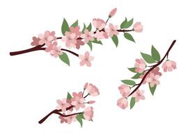 Pink flowers on white background. Spring branch set. Elements isolated on white background. Design for on cards, invitations. vector