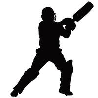 Man with bat playing cricket vector