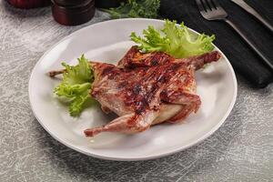 A plate with a chicken on it and a fork photo