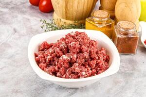 A bowl of ground beef with spices and herbs photo