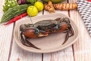 A plate with a crab on it and some vegetables photo