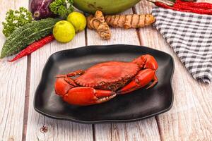 A crab on a plate with other vegetables and spices photo