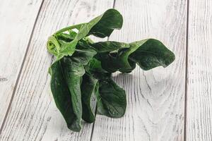 Spinach on a white wooden table photo
