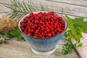 A bowl of red berries on a table photo