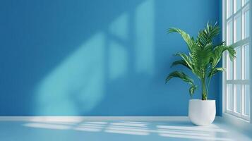 Minimalist indoor scene with a plant in a white pot against a blue wall and window, bathed in soft light, evoking calmness and serenity. photo