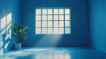 Blue room bathed in light. Potted plant sits beside a large grid window. Light and shadows create serene atmosphere in the space. photo