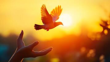 A bird soars freely from outstretched hands, bathed in the warm light of a vibrant sunset, symbolizing hope, peace and new beginnings. photo
