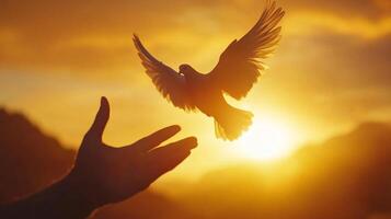 Dove takes flight from an outstretched hand against a golden sunset. Represents freedom, peace, and new beginnings in nature. photo