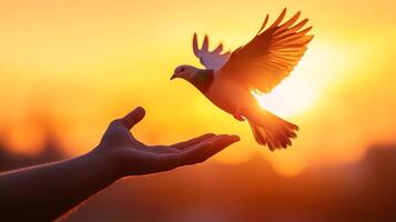 A dove gracefully takes flight from a hand against a vivid sunset backdrop, symbolizing freedom, peace, and new beginnings. photo