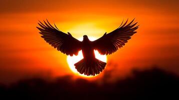 Bird in flight against a vibrant sunset, wings outstretched, creating a silhouette. A scene of freedom in nature's embrace. photo