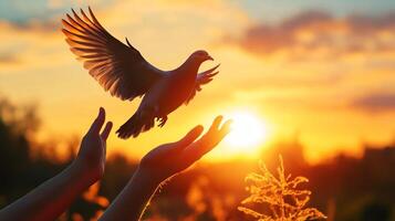 Dove released from hands, soaring into a bright sunset. Symbolizing hope and freedom, set against a warm, serene backdrop. photo