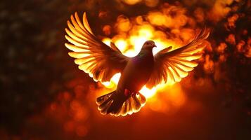 Dove soars against a vibrant, fiery sunset. Its wings catch the light, creating a striking contrast between the bird and the background. photo
