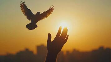 A person reaches toward a bird in flight with a bright sun shining. It is a beautiful and touching display of nature. photo