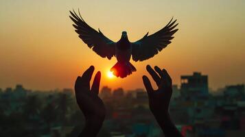 A bird soars into the sunset, guided by human hands against a cityscape, symbolizing hope and release at the end of the day. photo