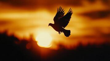 Dove soaring against a radiant, sunset-hued sky, symbolizing peace and serenity, captured in silhouette against the sun. photo