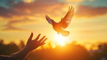 A silhouette of a dove taking flight from a hand, symbolizing freedom and peace, set against the backdrop of a vibrant, warm sunset. photo