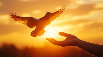 Dove soaring from a hand against a golden sky, symbolizing freedom, peace, and the beauty of nature's transition at sunset. photo