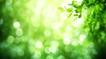 Lush greenery, bokeh light, and vivid colors create an immersive and captivating natural scene, evoking tranquility and environmental awareness. photo