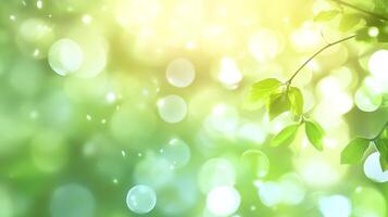 A vibrant spring scene with sunlight illuminating lush green leaves and creating a soft, dreamy bokeh effect in the background. photo
