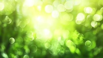 Abstract green bokeh background with light shining through the leaves of trees. Sunlight flares creating circular highlights. photo