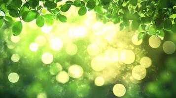 Lush green leaves and bokeh create a dreamy, sun-drenched spring or summer scene, blurring the lines between nature and ethereal light. photo
