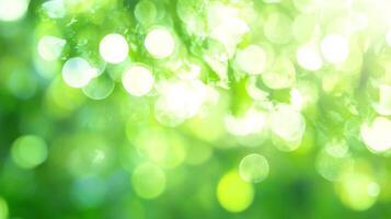An abstract, bright, beautiful sunny day with green nature background and circular bokeh lights, creating a serene atmosphere. photo