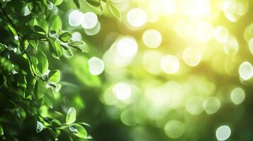 Lush green leaves filter sunlight, creating a soft, natural glow with a bokeh effect, evoking a sense of tranquility and the beauty of nature. photo
