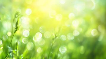 Green blades of grass reach towards the bright sun, with light forming beautiful bokeh circles, a vibrant and serene scene. photo