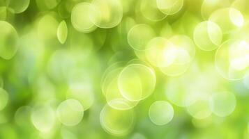Blurred abstract background with a dreamy, soft focus showing pale green and white bokeh lights creating a magical and serene feeling. photo