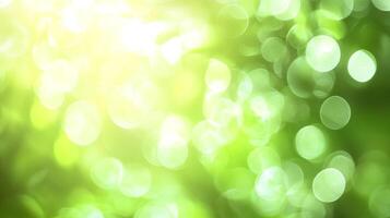 An image of green bokeh with a bright, sunny flare. The out-of-focus orbs create a dreamy, ethereal feel in a refreshing color palette. photo