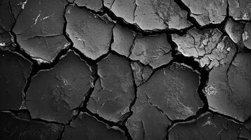 Cracked earth reveals a stark landscape, an abstract dance of dark and light, highlighting resilience and vulnerability in nature's design. photo