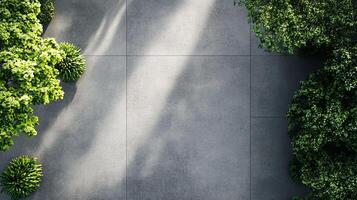 Aerial view of a concrete tiled walkway with trees, showing a modern and minimalist outdoor space with natural light and shadows. photo