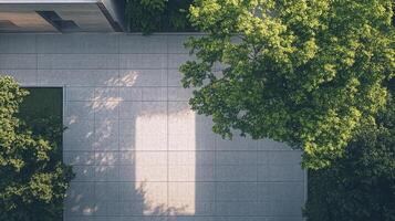 Elevated view of a modern architectural space with geometric patterns and verdant foliage in natural light, showcasing urban tranquility. photo