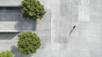 High angle view captures a person walking across a tiled plaza with trees adding a touch of nature to the urban landscape. photo
