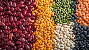 A vibrant assortment of beans and lentils, showcasing a colorful display of nature's bounty and wholesome nutrition. photo