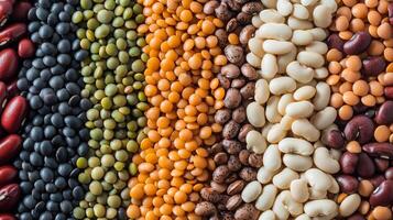 A colorful assortment of dried beans and lentils, ideal for creating nutritious and healthy meals with various flavors and textures. photo