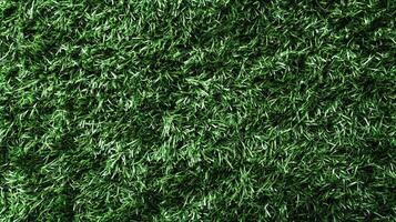 A vibrant close-up reveals a dense, lush carpet, its deep green texture creating a textured and visually engaging surface. photo