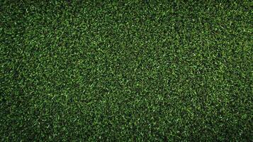Lush green grass texture filling the frame, ideal for backgrounds. Dense, uniformly colored with natural looking shadows and imperfections. photo