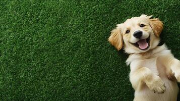 Adorable puppy lying on lush green grass, paws up, with a bright and happy expression, joyful moment in nature, full of happiness photo